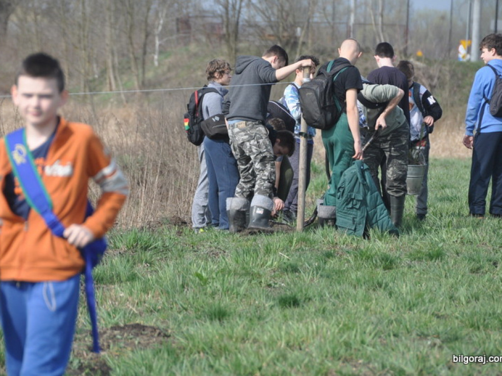 Dzieci i młodzież przy wsparciu Nadleśnictwa Biłgoraj i Urzędu Miasta Biłgoraj posadziły 1050 drzew (FOTO)