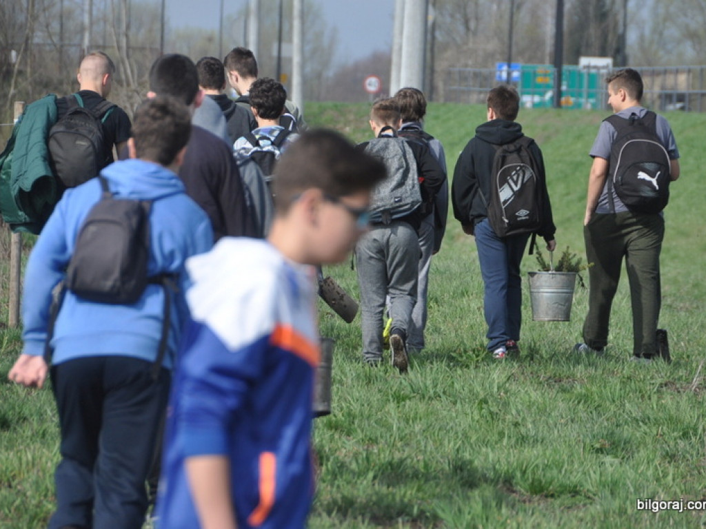Dzieci i młodzież przy wsparciu Nadleśnictwa Biłgoraj i Urzędu Miasta Biłgoraj posadziły 1050 drzew (FOTO)