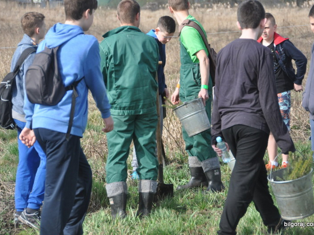 Dzieci i młodzież przy wsparciu Nadleśnictwa Biłgoraj i Urzędu Miasta Biłgoraj posadziły 1050 drzew (FOTO)