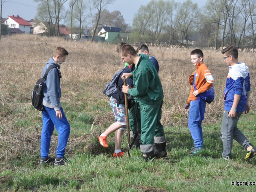 Dzieci i młodzież przy wsparciu Nadleśnictwa Biłgoraj i Urzędu Miasta Biłgoraj posadziły 1050 drzew (FOTO)