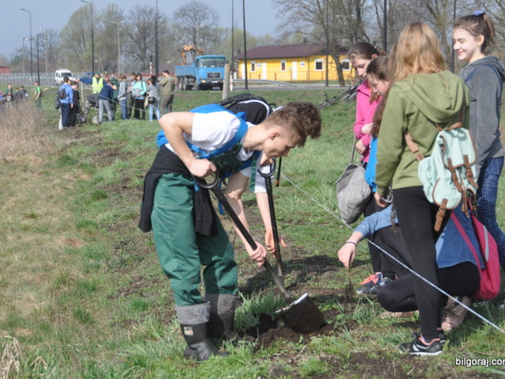 Dzieci i młodzież przy wsparciu Nadleśnictwa Biłgoraj i Urzędu Miasta Biłgoraj posadziły 1050 drzew (FOTO)