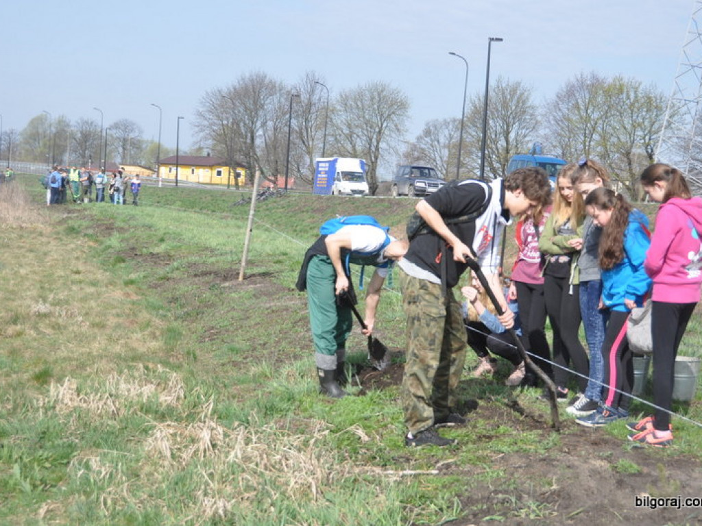 Dzieci i młodzież przy wsparciu Nadleśnictwa Biłgoraj i Urzędu Miasta Biłgoraj posadziły 1050 drzew (FOTO)