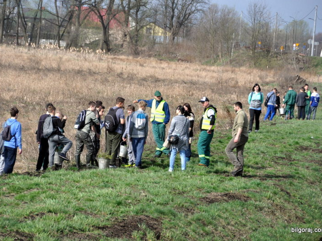 Dzieci i młodzież przy wsparciu Nadleśnictwa Biłgoraj i Urzędu Miasta Biłgoraj posadziły 1050 drzew (FOTO)