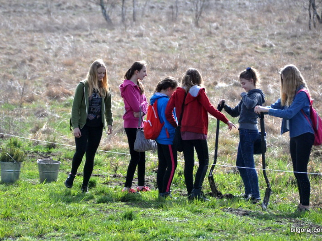 Dzieci i młodzież przy wsparciu Nadleśnictwa Biłgoraj i Urzędu Miasta Biłgoraj posadziły 1050 drzew (FOTO)