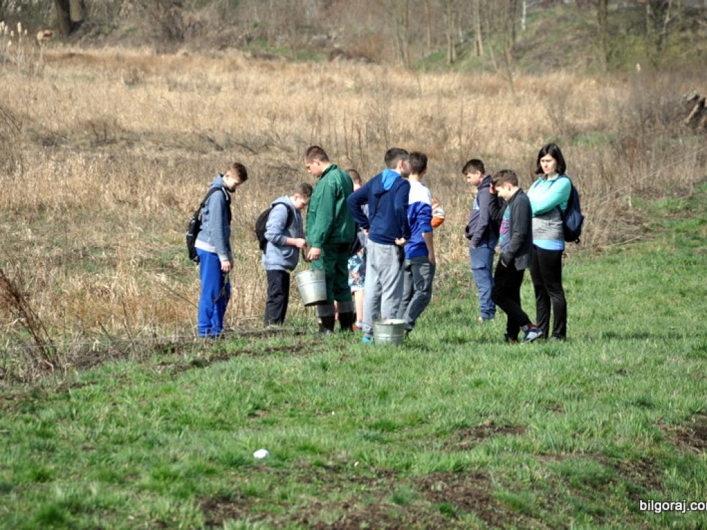 Dzieci i młodzież przy wsparciu Nadleśnictwa Biłgoraj i Urzędu Miasta Biłgoraj posadziły 1050 drzew (FOTO)