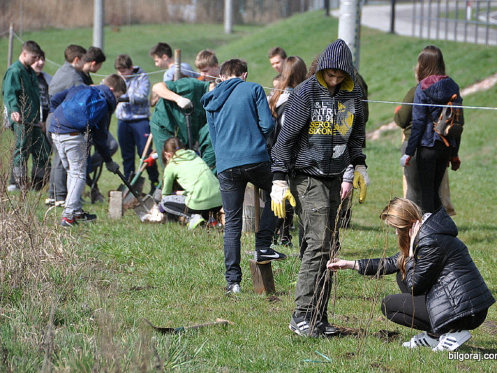 Dzieci i młodzież przy wsparciu Nadleśnictwa Biłgoraj i Urzędu Miasta Biłgoraj posadziły 1050 drzew (FOTO)