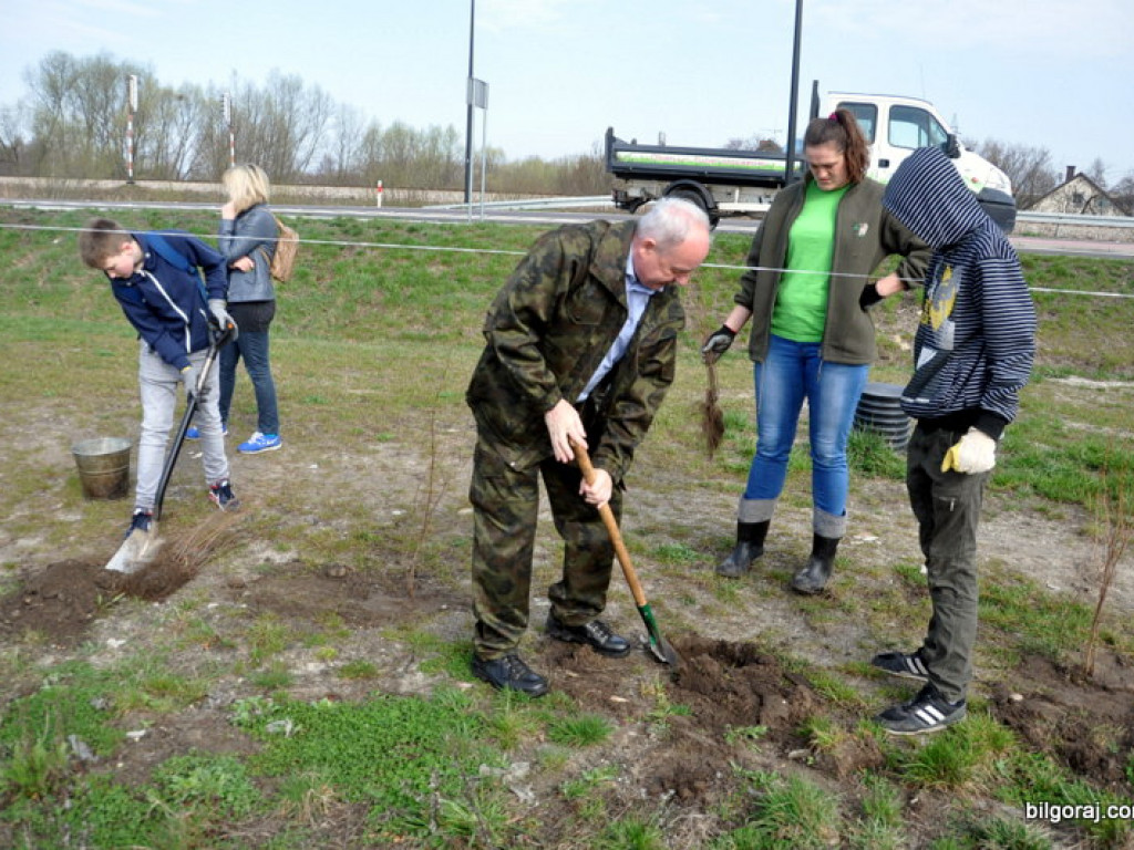 Dzieci i młodzież przy wsparciu Nadleśnictwa Biłgoraj i Urzędu Miasta Biłgoraj posadziły 1050 drzew (FOTO)
