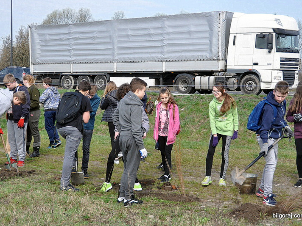 Dzieci i młodzież przy wsparciu Nadleśnictwa Biłgoraj i Urzędu Miasta Biłgoraj posadziły 1050 drzew (FOTO)
