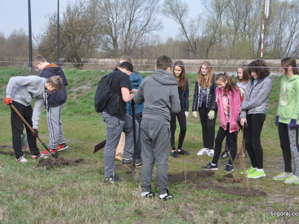 Dzieci i młodzież przy wsparciu Nadleśnictwa Biłgoraj i Urzędu Miasta Biłgoraj posadziły 1050 drzew (FOTO)