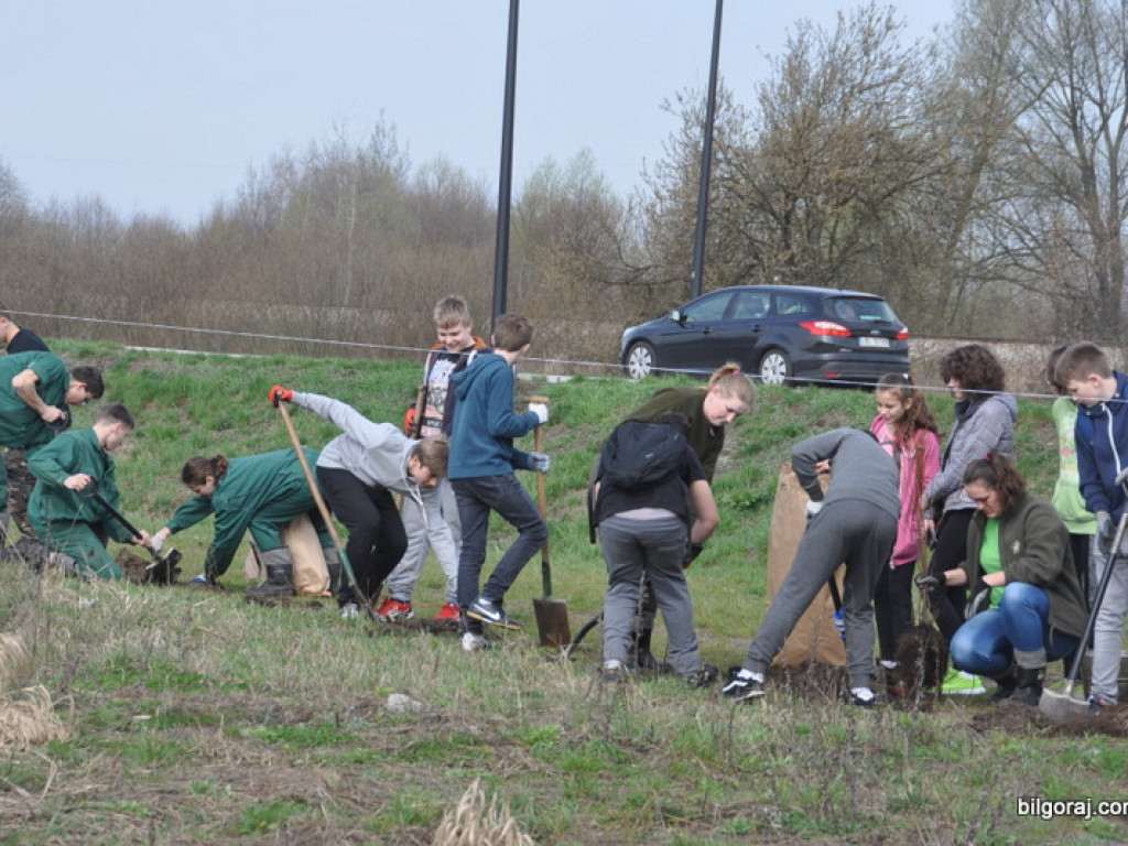 Dzieci i młodzież przy wsparciu Nadleśnictwa Biłgoraj i Urzędu Miasta Biłgoraj posadziły 1050 drzew (FOTO)