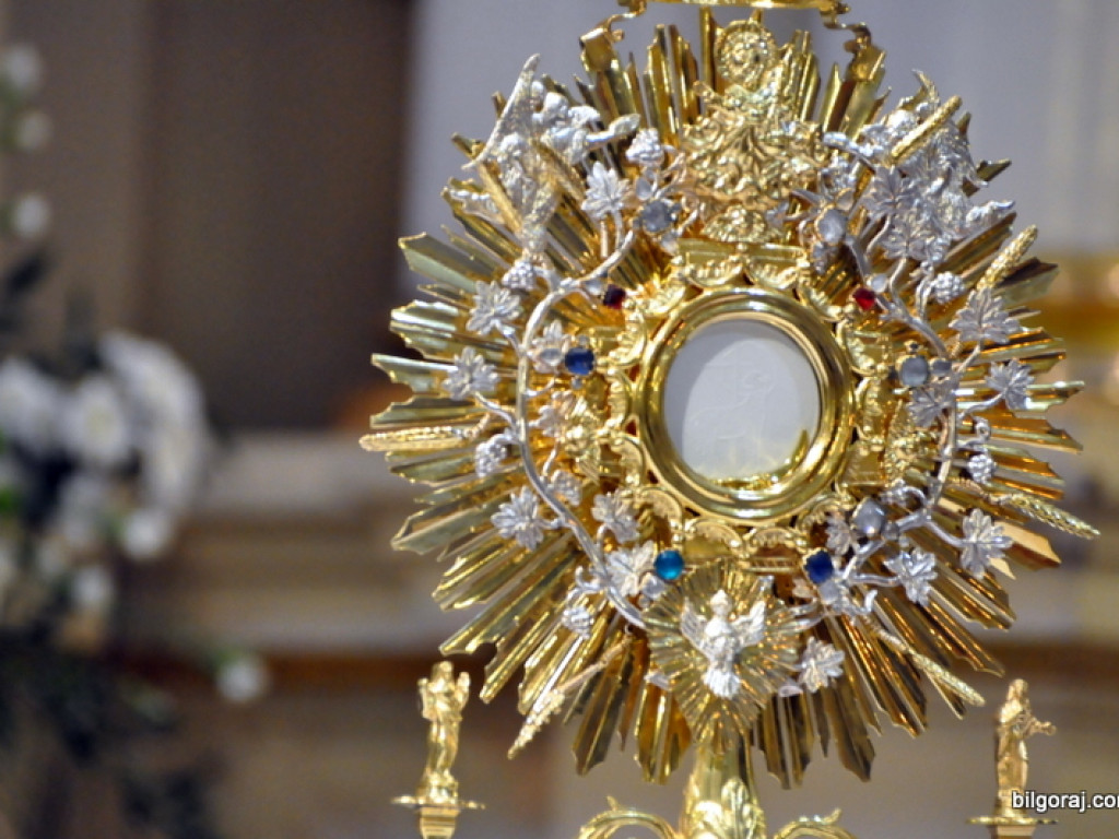 Acies Legionów Maryi Ziemi Biłgorajskiej (FOTO)