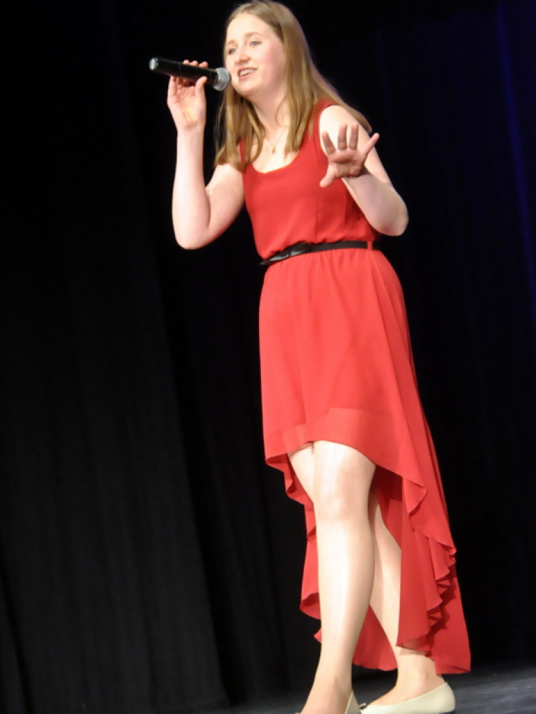 XIV Powiatowy Festiwal Piosenki Obcojęzycznej (FOTO, VIDEO, WYNIKI)