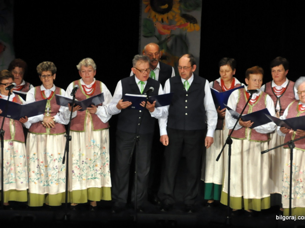 Powiatowy Festiwal Zespołów Ludowych (FOTO, VIDEO, WYNIKI)