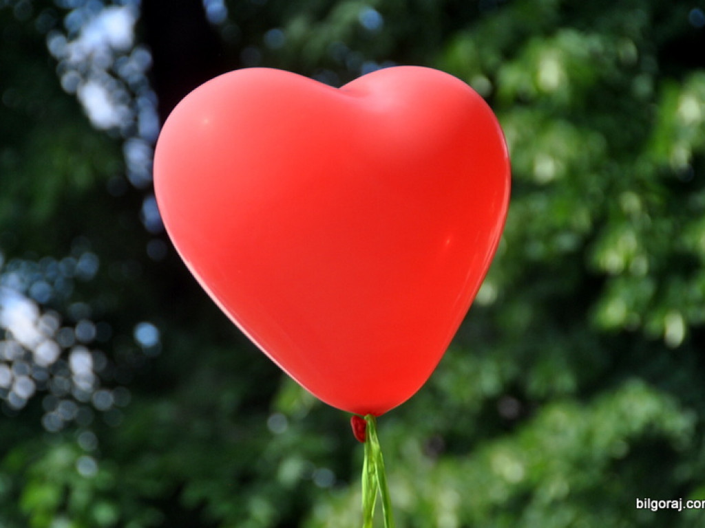 Charytatywny piknik dla Igi Pawelec (FOTO)