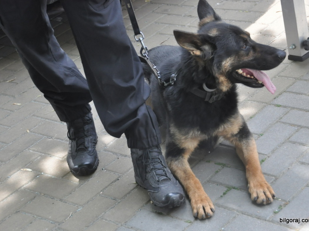 Charytatywny piknik dla Igi Pawelec (FOTO)