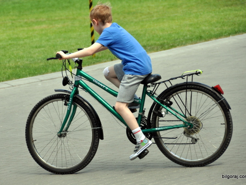 Charytatywny piknik dla Igi Pawelec (FOTO)