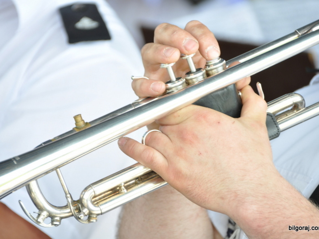 XVI Powiatowy Przegląd Strażackich Orkiestr Dętych w Obszy (FOTO)