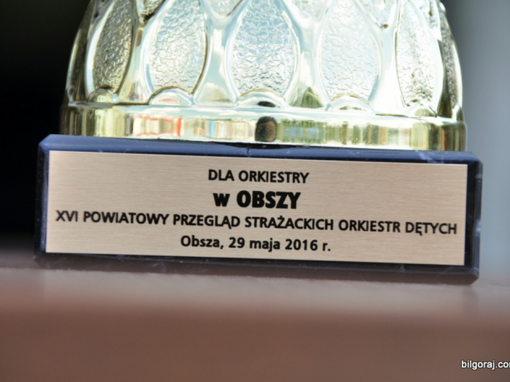 XVI Powiatowy Przegląd Strażackich Orkiestr Dętych w Obszy (FOTO)