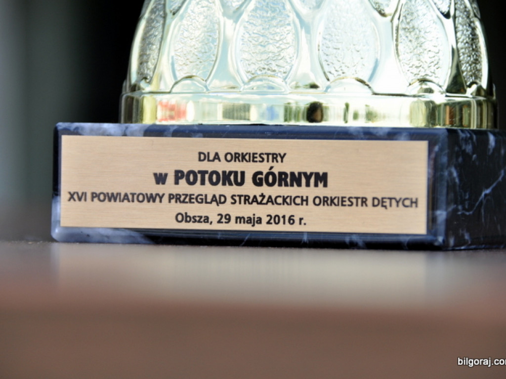 XVI Powiatowy Przegląd Strażackich Orkiestr Dętych w Obszy (FOTO)