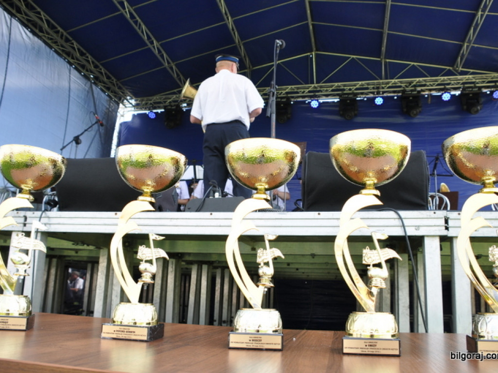 XVI Powiatowy Przegląd Strażackich Orkiestr Dętych w Obszy (FOTO)