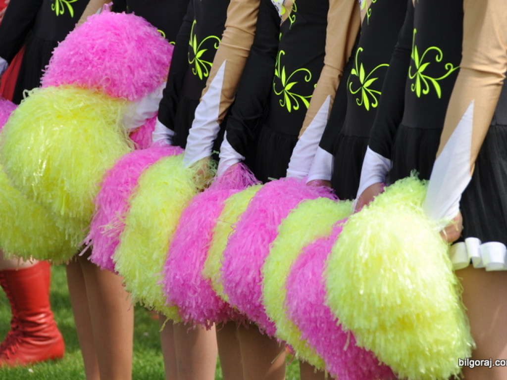 XVI Powiatowy Przegląd Strażackich Orkiestr Dętych w Obszy (FOTO)