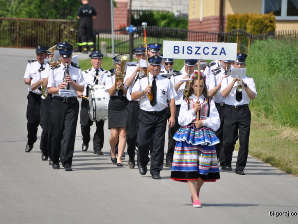 XVI Powiatowy Przegląd Strażackich Orkiestr Dętych w Obszy (FOTO)