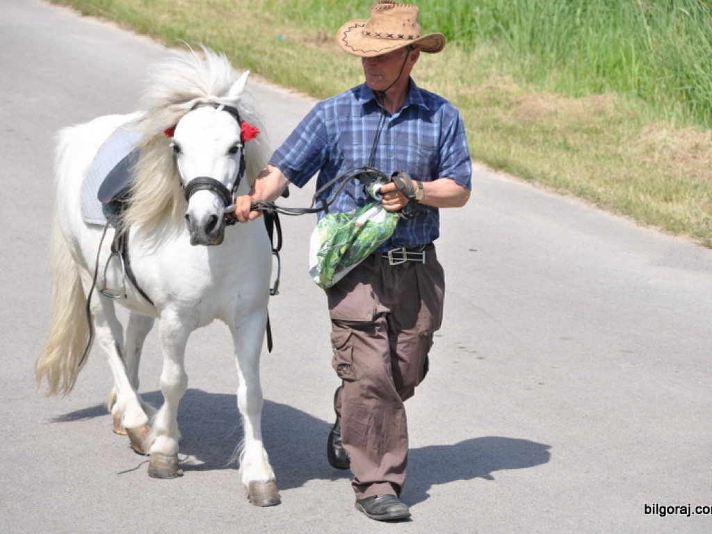 XVI Powiatowy Przegląd Strażackich Orkiestr Dętych w Obszy (FOTO)