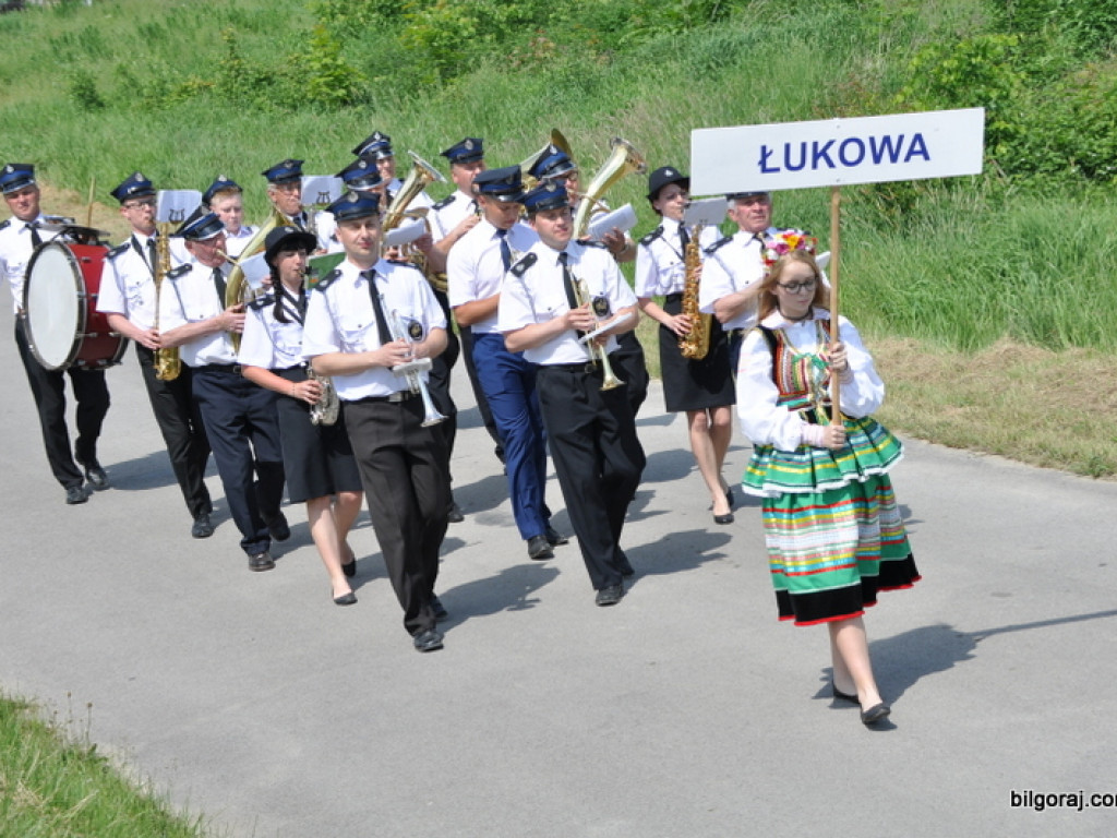 XVI Powiatowy Przegląd Strażackich Orkiestr Dętych w Obszy (FOTO)