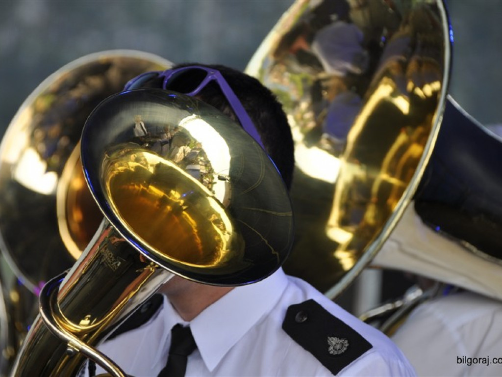 Jubileusz 10-lecia Strażackiej Orkiestry Dętej z Obszy (FOTO)