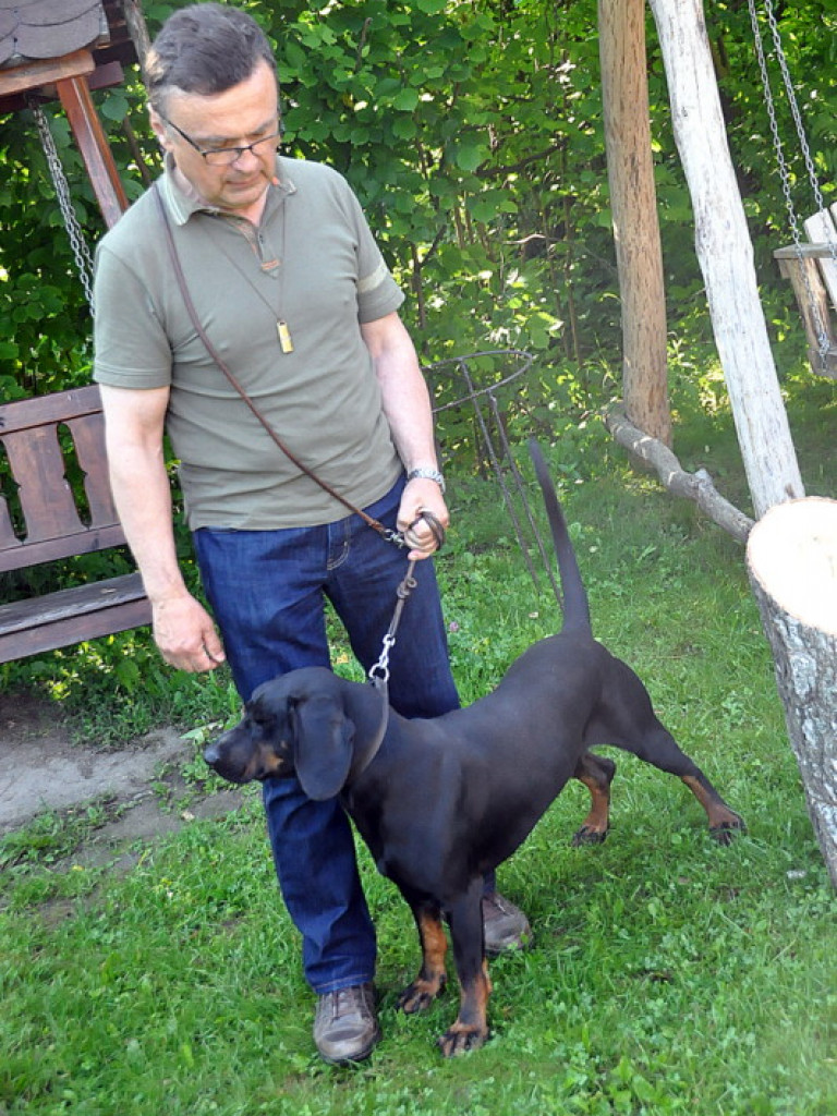 Konkurs psów myśliwskich (FOTO, WYNIKI)