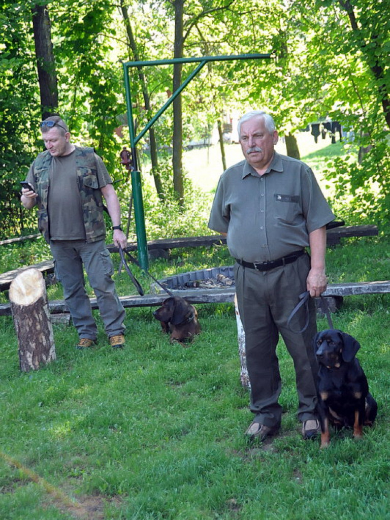 Konkurs psów myśliwskich (FOTO, WYNIKI)