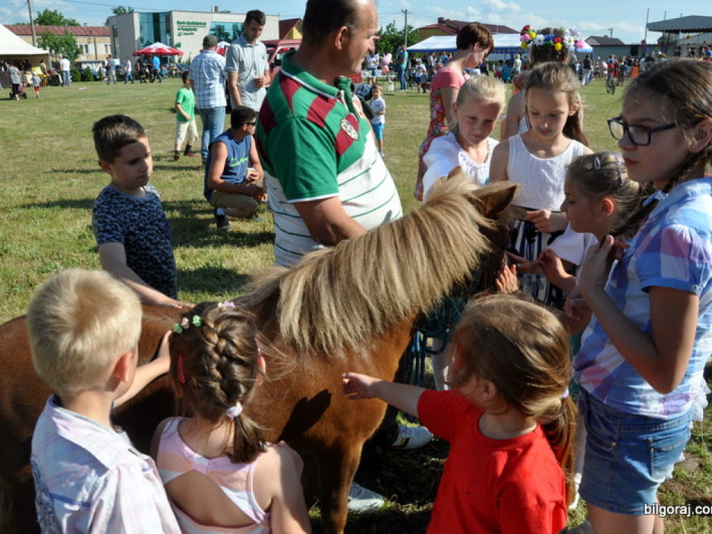 Piknik rodzinny w Księżpolu (FOTO)