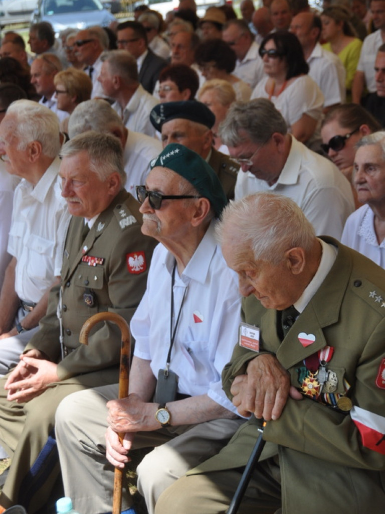 Gloria victis - Osuchy 2016 (FOTO, AUDIO)