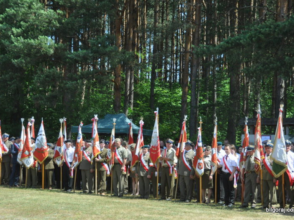 Gloria victis - Osuchy 2016 (FOTO, AUDIO)