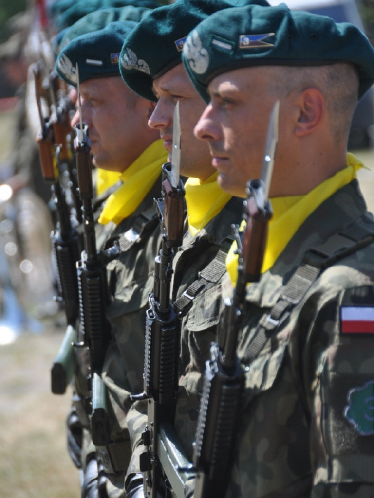 Gloria victis - Osuchy 2016 (FOTO, AUDIO)