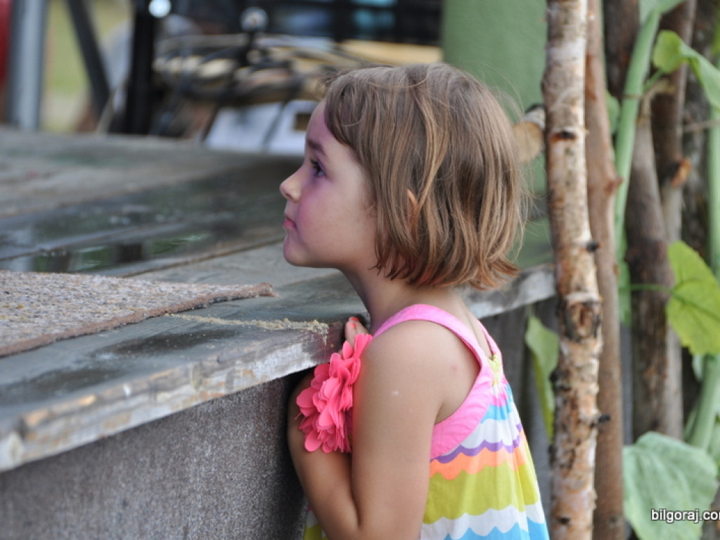 Na ludowo w Tereszpolu (FOTO)