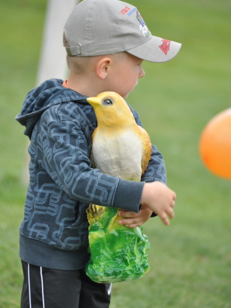 Festyn rodzinny w Gromadzie (FOTO)