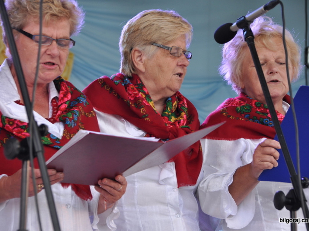 Festyn rodzinny w Gromadzie (FOTO)