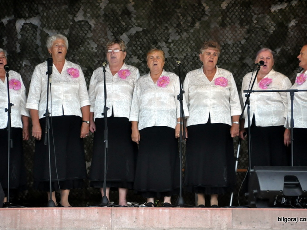 XXII Konkurs Piosenki Partyzanckiej (FOTO, WYNIKI, VIDEO)