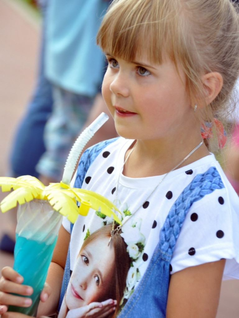 Biszcza: XII Dzień Miodu i Pieroga (FOTO)