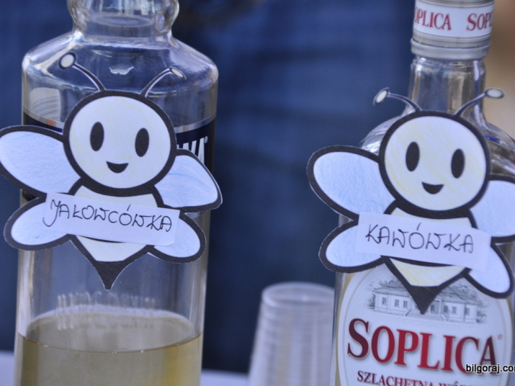 Biszcza: XII Dzień Miodu i Pieroga (FOTO)