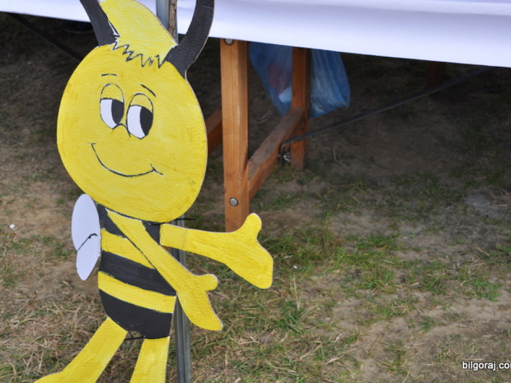 Biszcza: XII Dzień Miodu i Pieroga (FOTO)