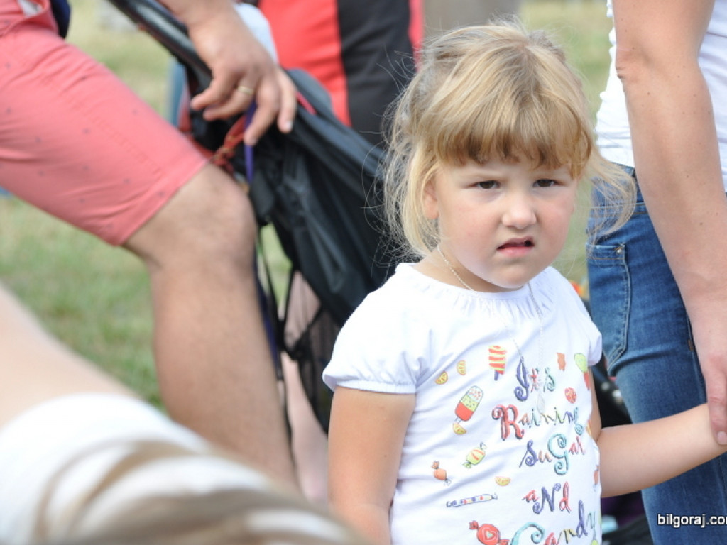 Biszcza: XII Dzień Miodu i Pieroga (FOTO)