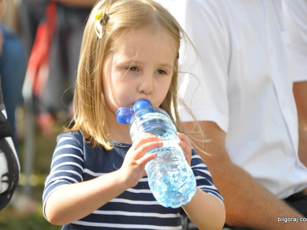 Biszcza: XII Dzień Miodu i Pieroga (FOTO)