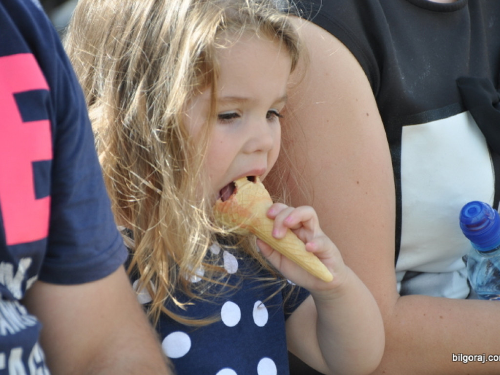 Biszcza: XII Dzień Miodu i Pieroga (FOTO)