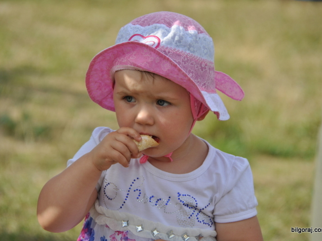 Biszcza: XII Dzień Miodu i Pieroga (FOTO)