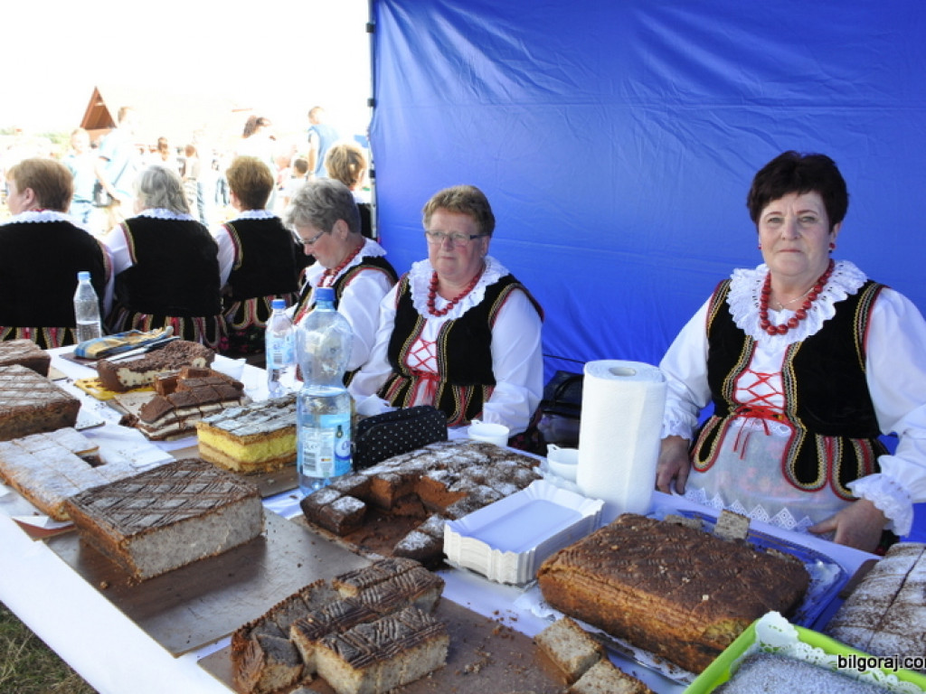 Biszcza: XII Dzień Miodu i Pieroga (FOTO)