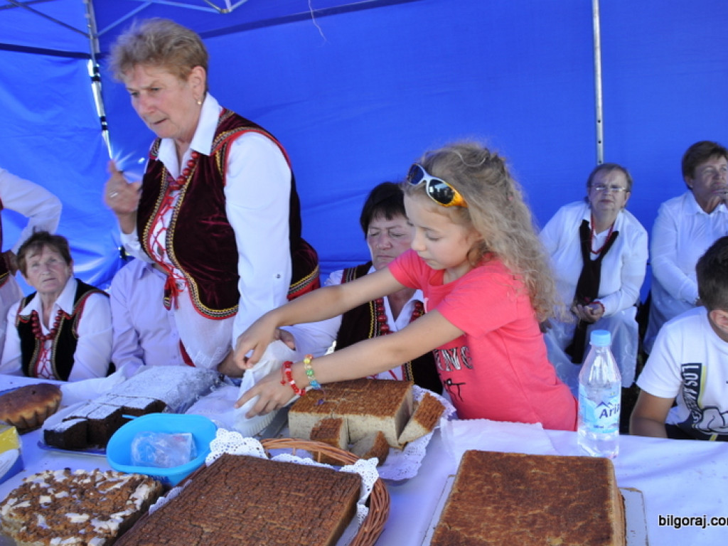 Biszcza: XII Dzień Miodu i Pieroga (FOTO)