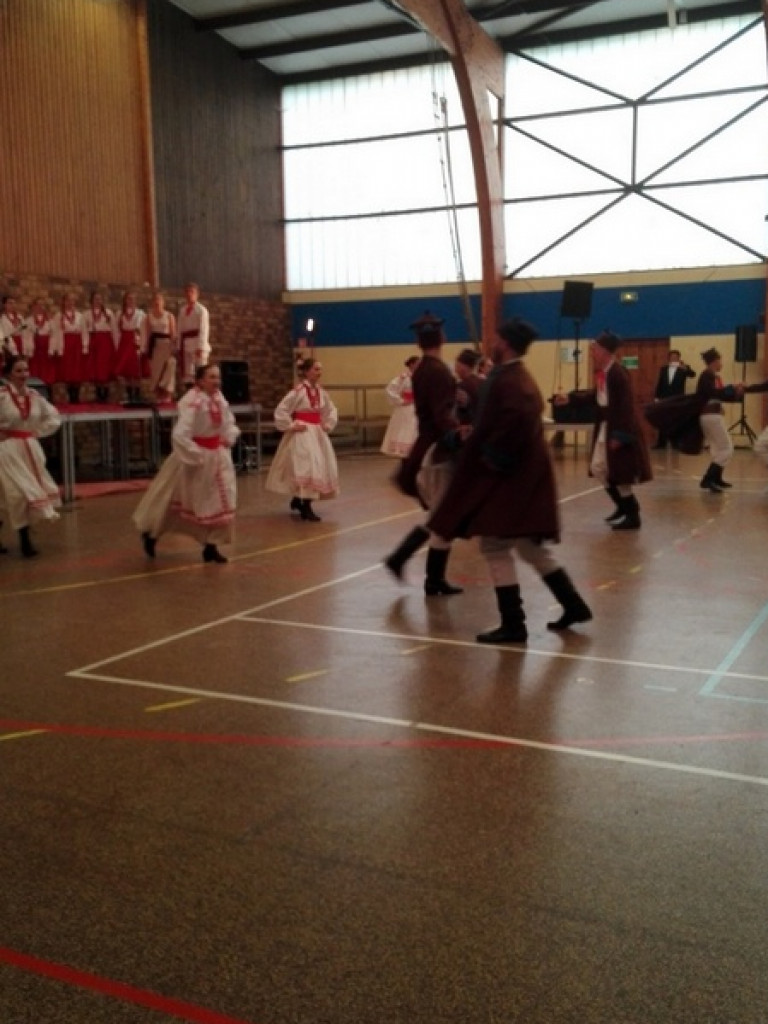 Zespoły MDK na Zjeździe Polonii w Osny pod Paryżem