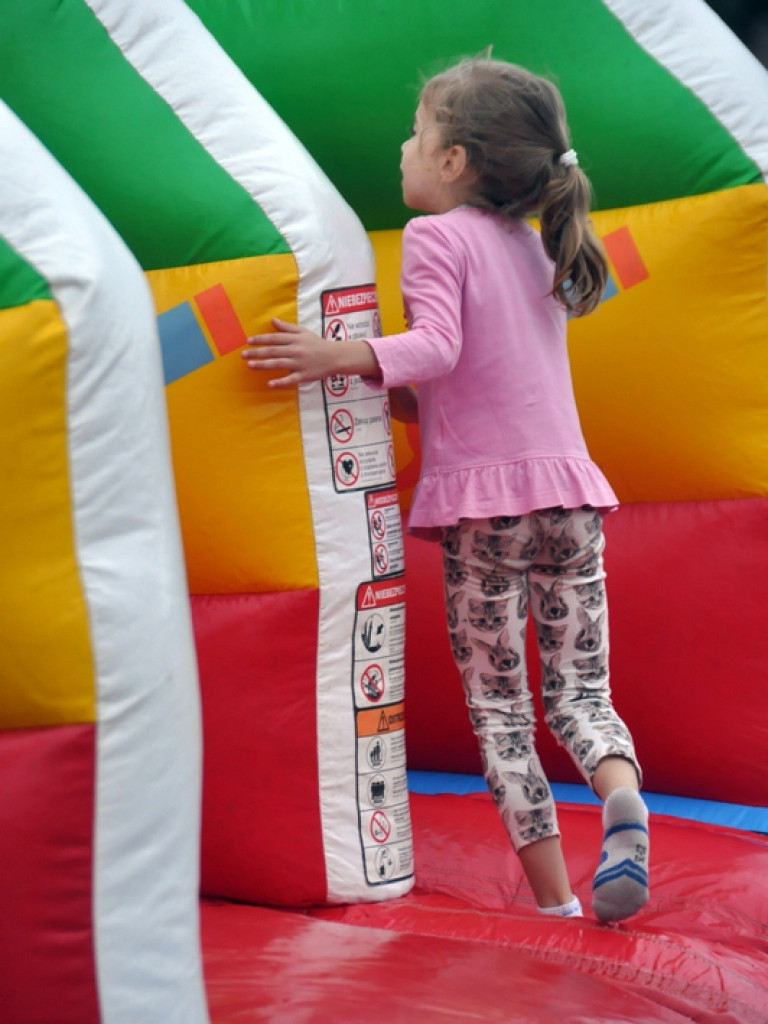 W Bukowej odbyło się święto jagód (FOTO)